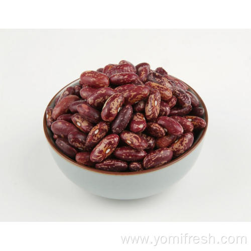 Kidney Beans Nutrition